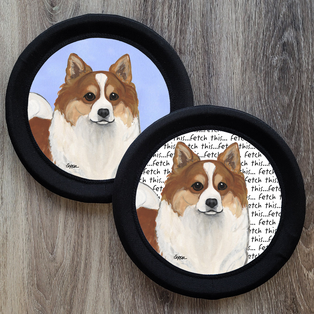 Icelandic Sheepdog FOTOfrisby