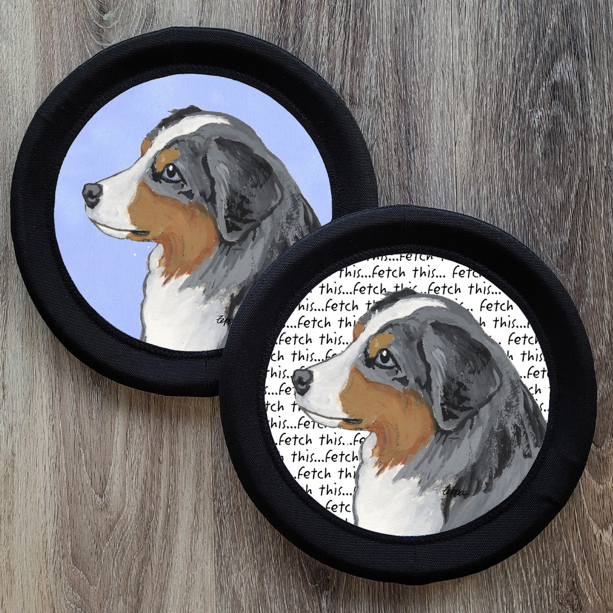 Miniature American Shepherd Foto Frisby