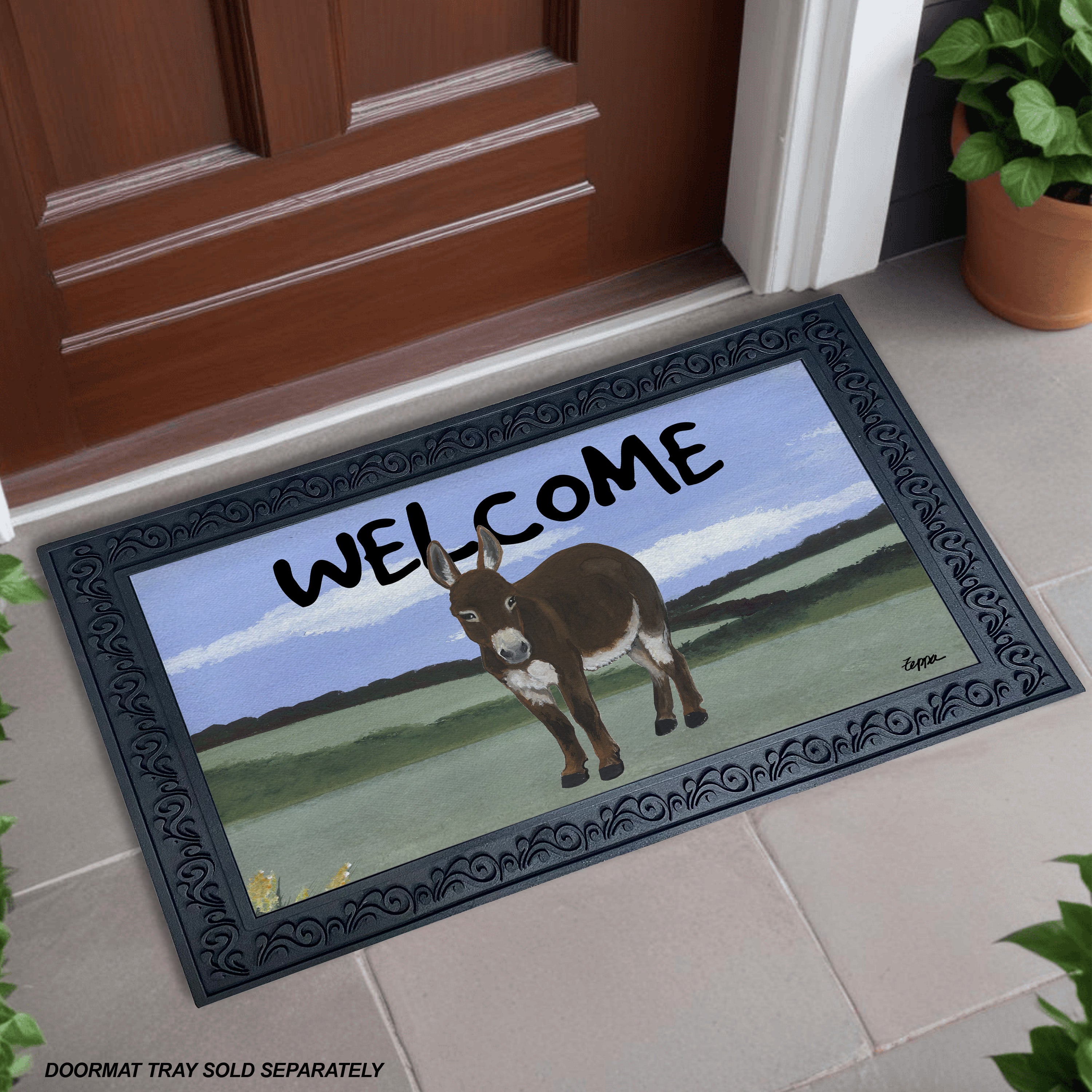 A rectangular doormat with a decorative black frame and a printed illustration of a mini donkey in a field with “WELCOME” across the top in front of an entry door.