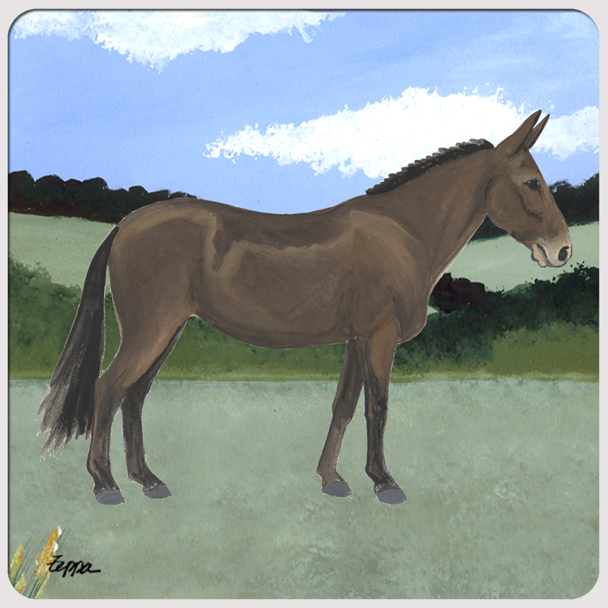 Mule in a field illustration on a square beverage coaster with rounded corners.