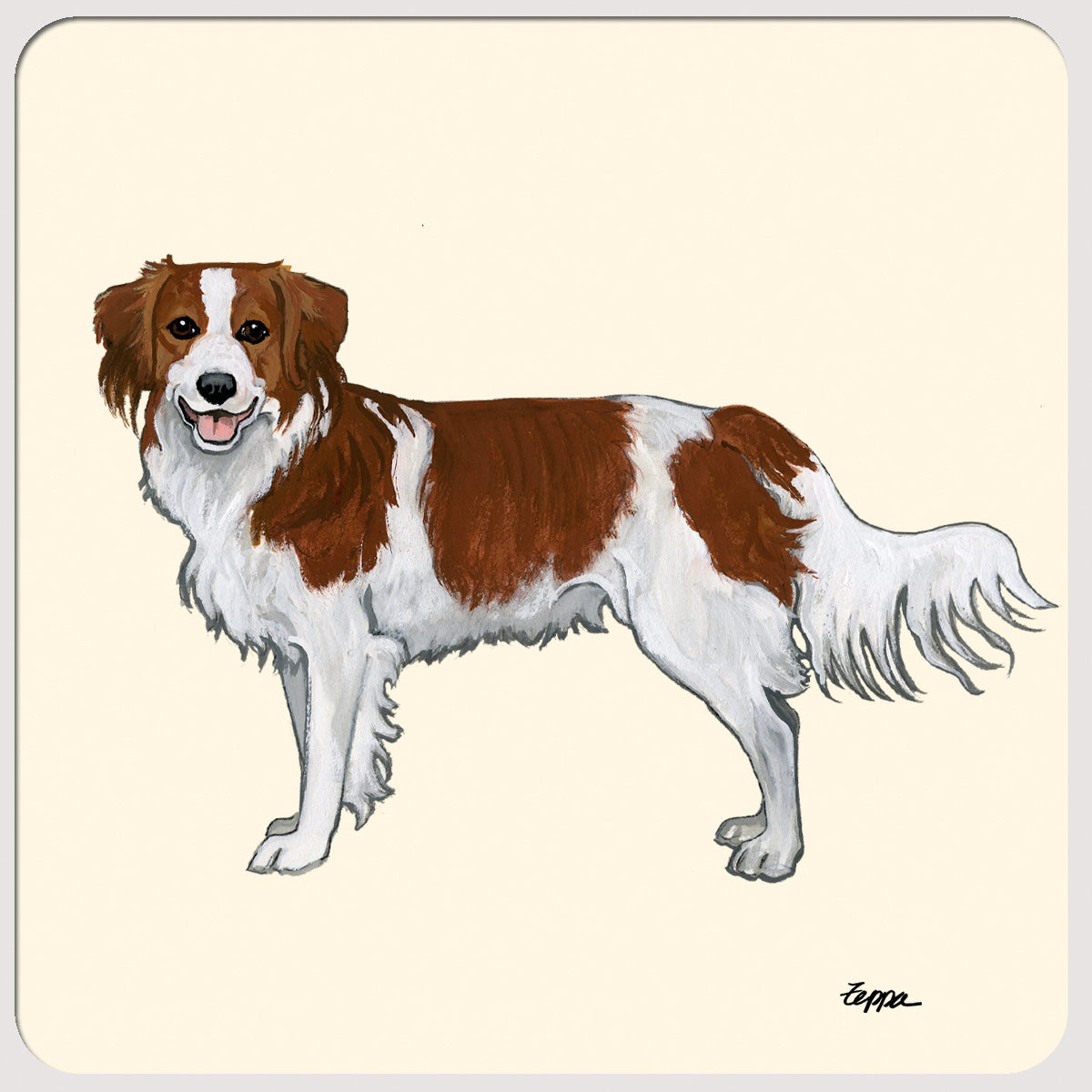 Nederlandse Kooikerhondje Beverage Coasters