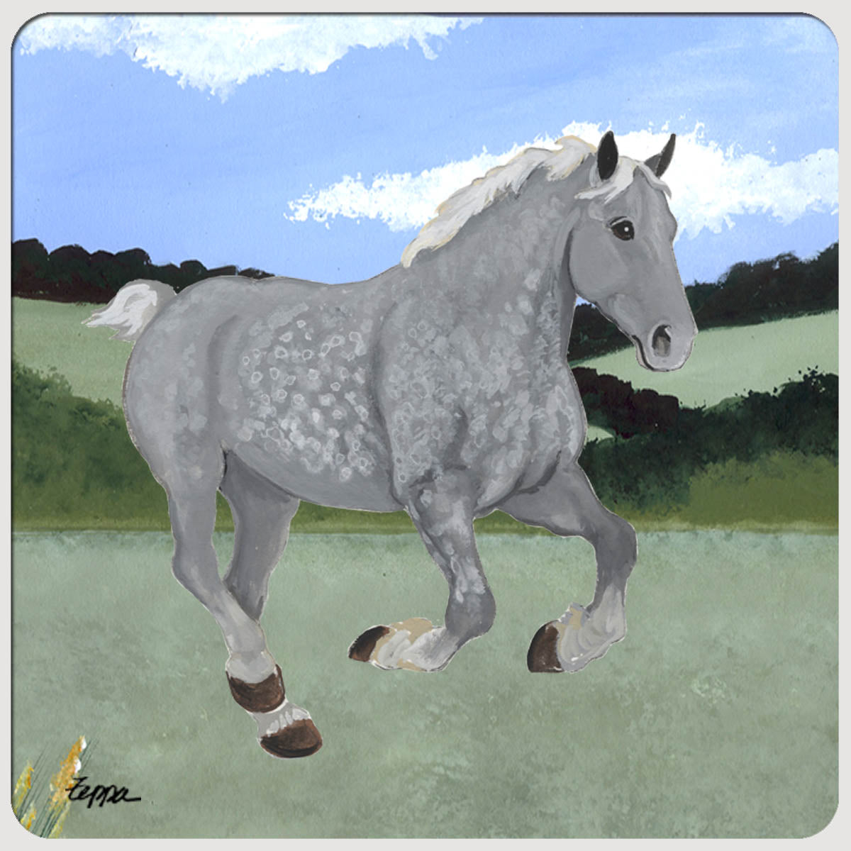 Percheron Horse galloping in a field on rubber coaster.