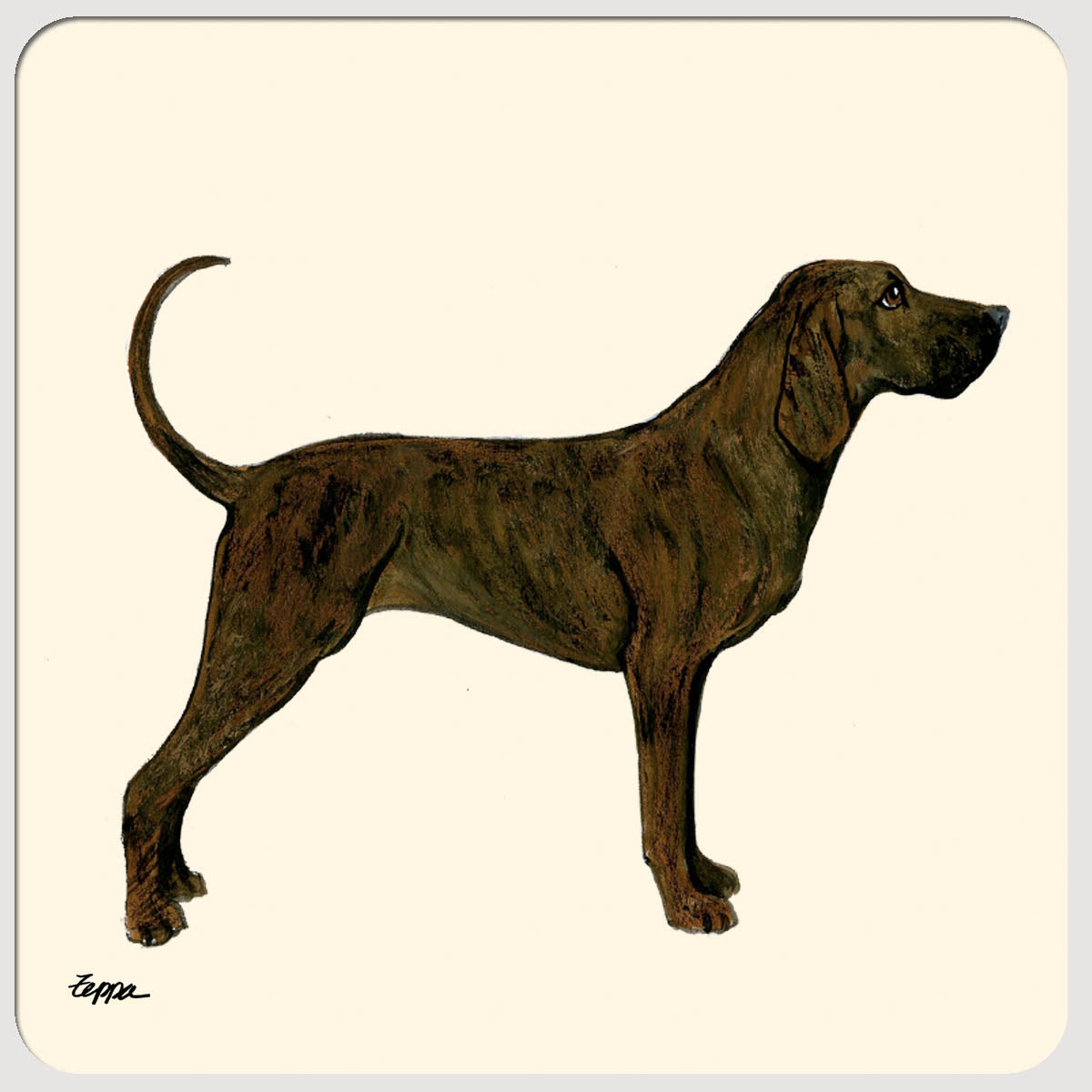 Illustration of a Plott Hound on a beige poly/rubber coaster.