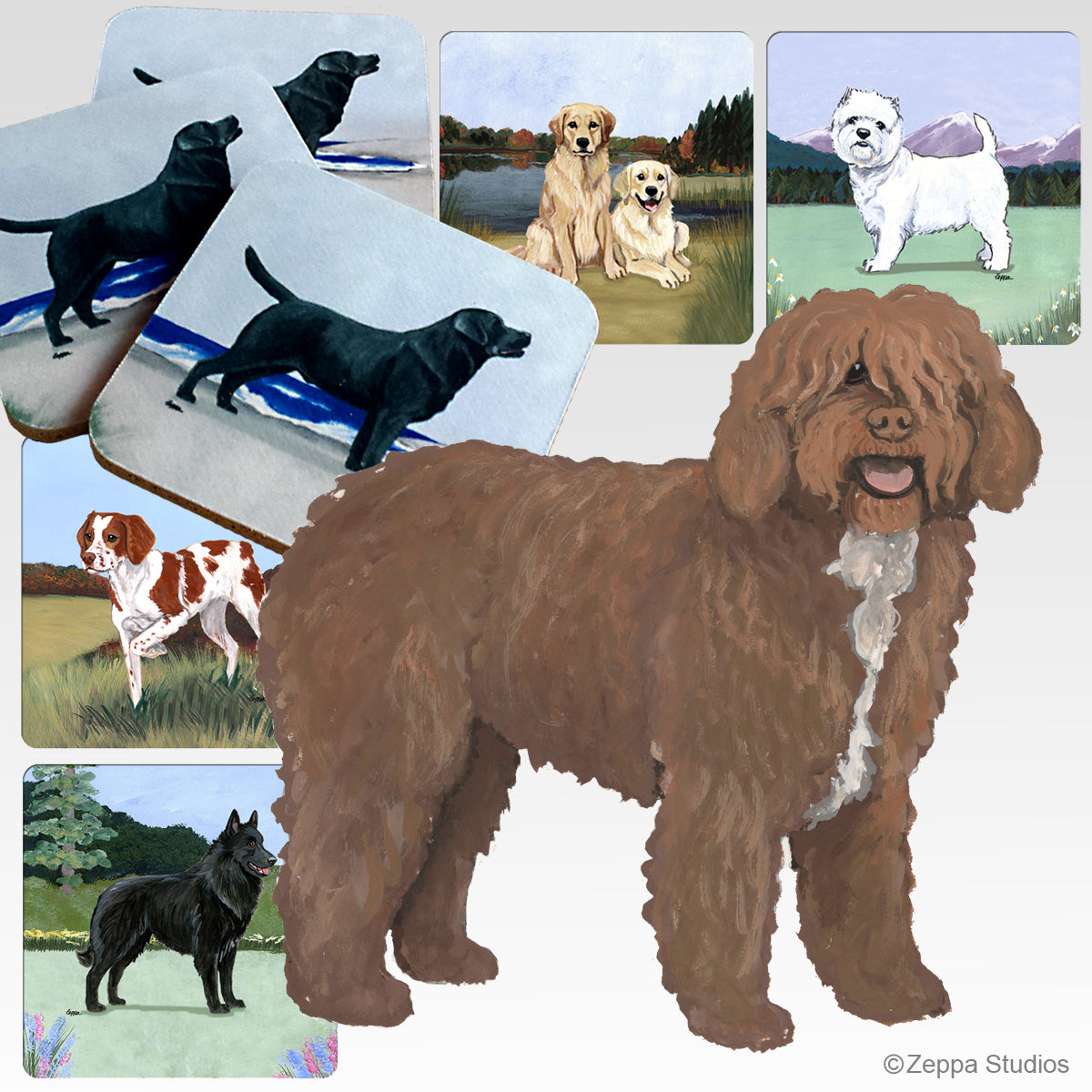 Spanish Water Dog design and 5 background scenes for rubber beverage coasters.