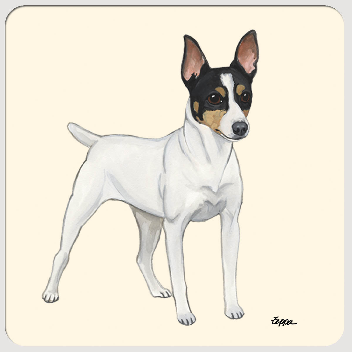 Toy Fox Terrier design on plain beverage coasters.