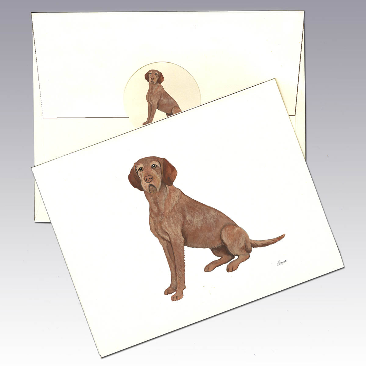 Wirehaired Vizsla on an ivory note card with matching envelope and sticker.