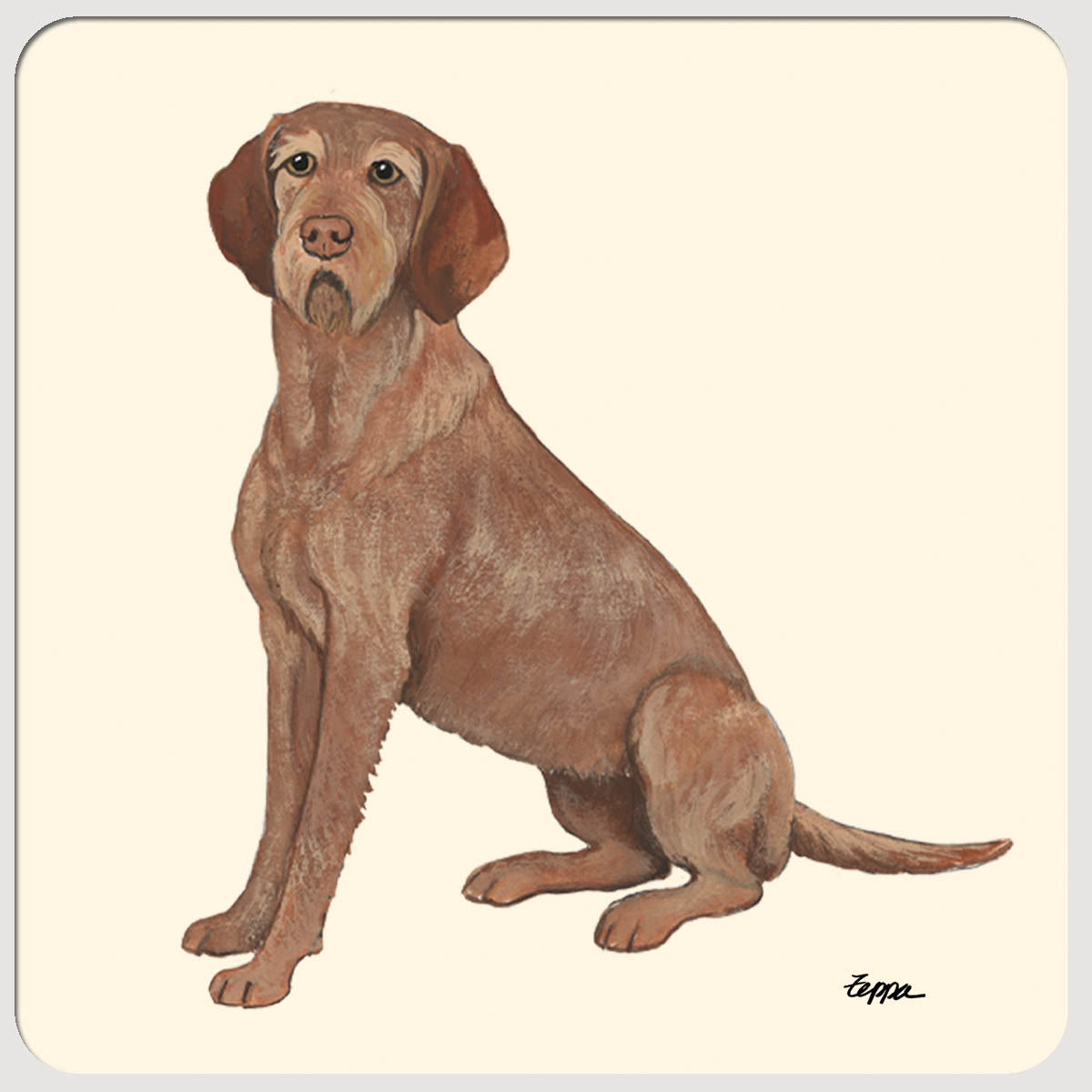 Wirehaired Vizsla on beige rubber beverage coaster.