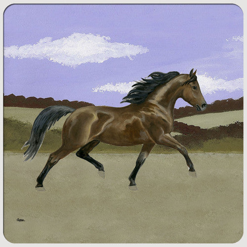 Morgan Horse Scenic Coasters