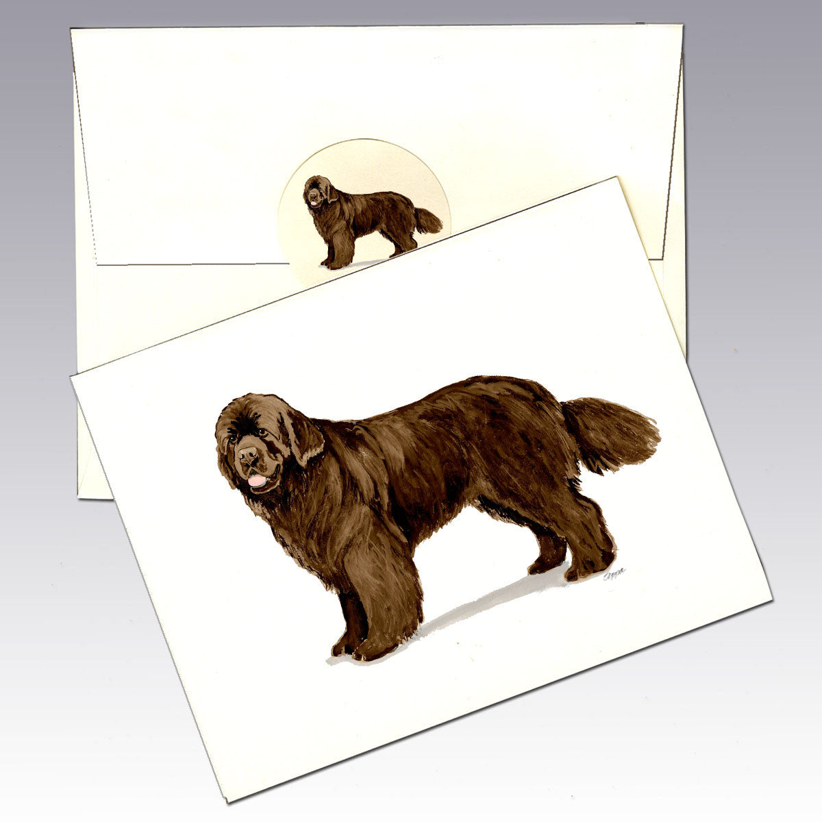 Brown Newfoundland Note Cards