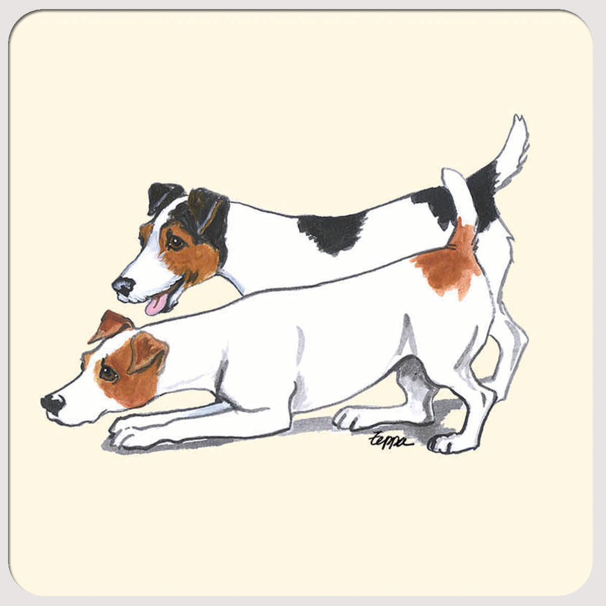 Jack Russell Terrier Beverage Coasters