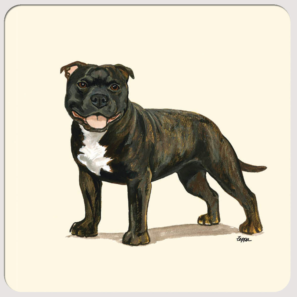 English Staffordshire Terrier Beverage Coasters