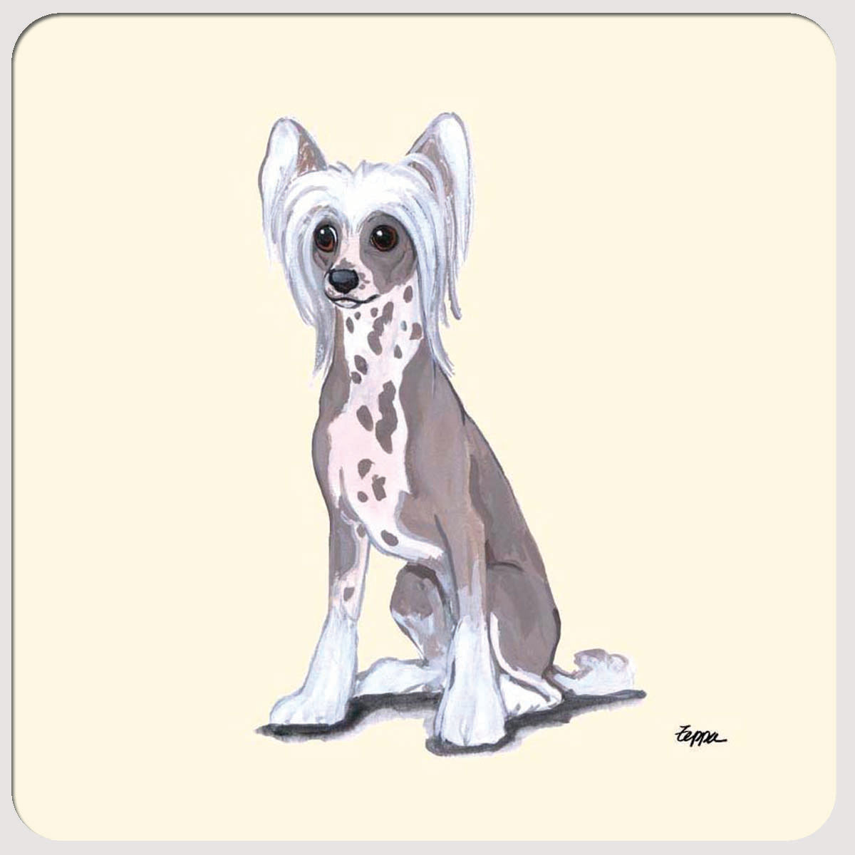 Chinese Crested Beverage Coasters