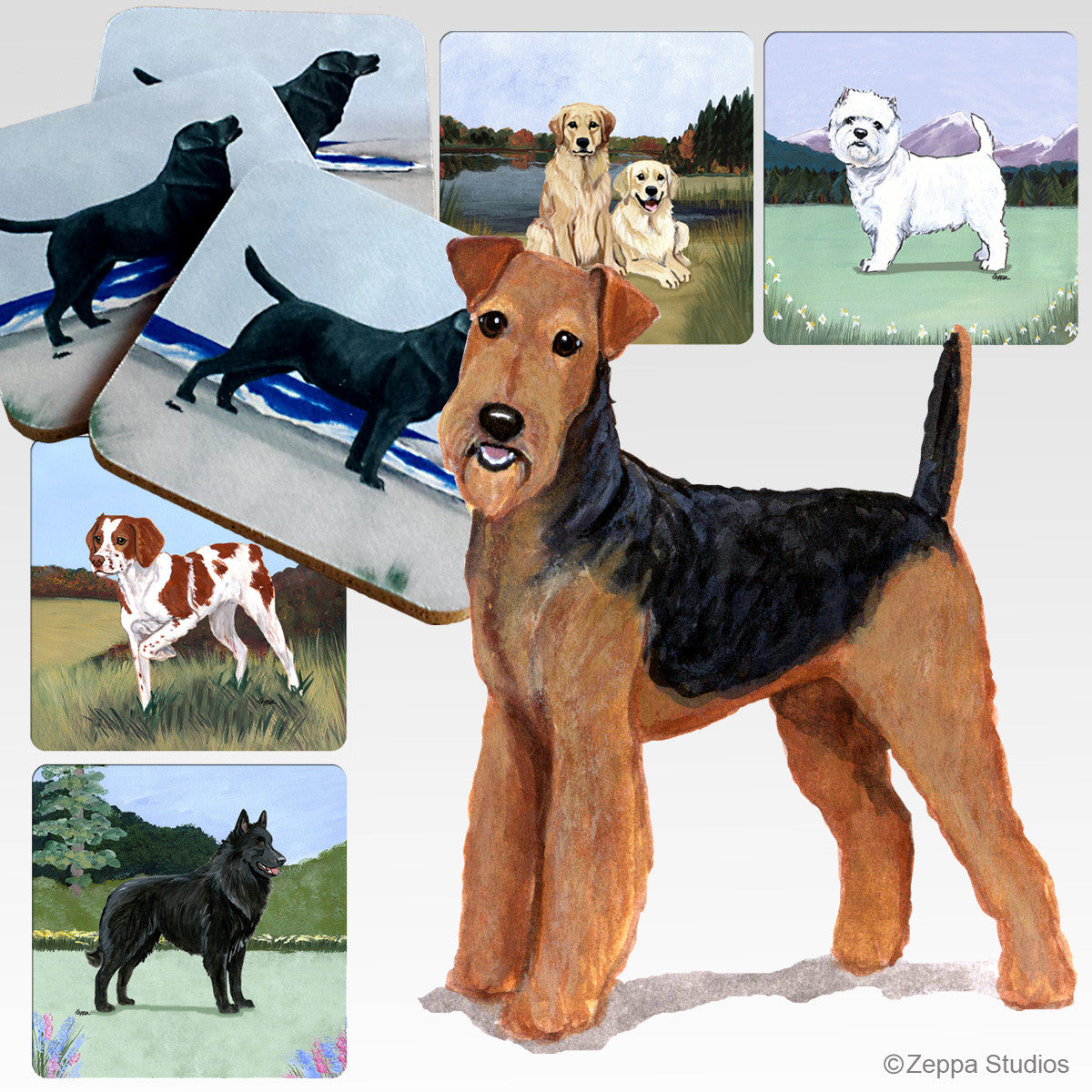 Airedale Scenic Coasters