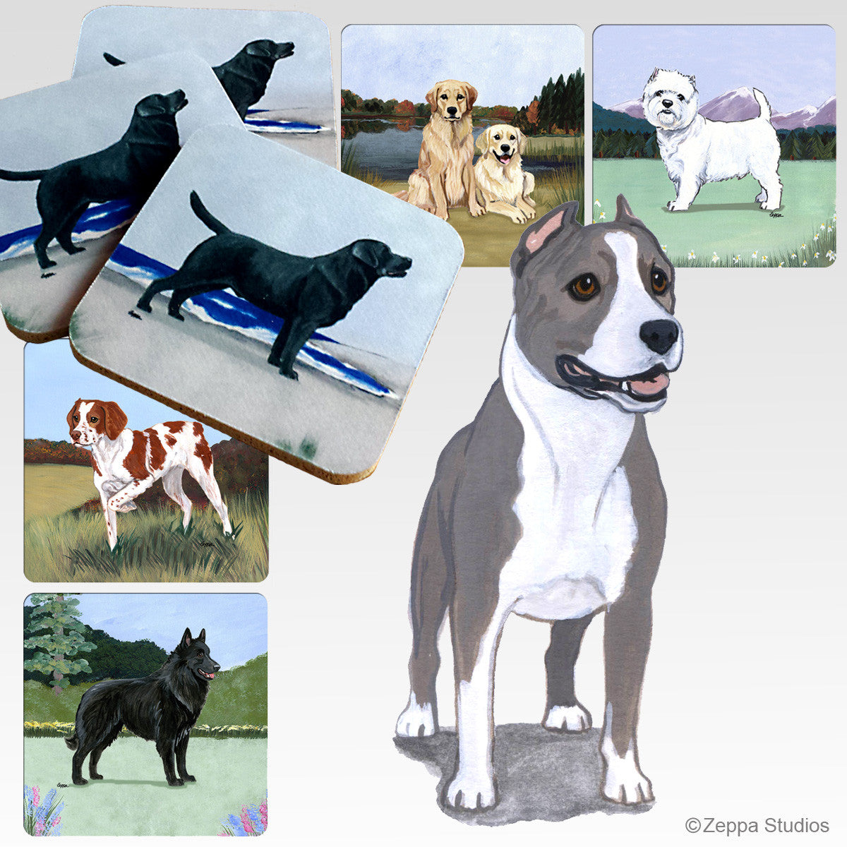 American Staffordshire Terrier Scenic Coasters
