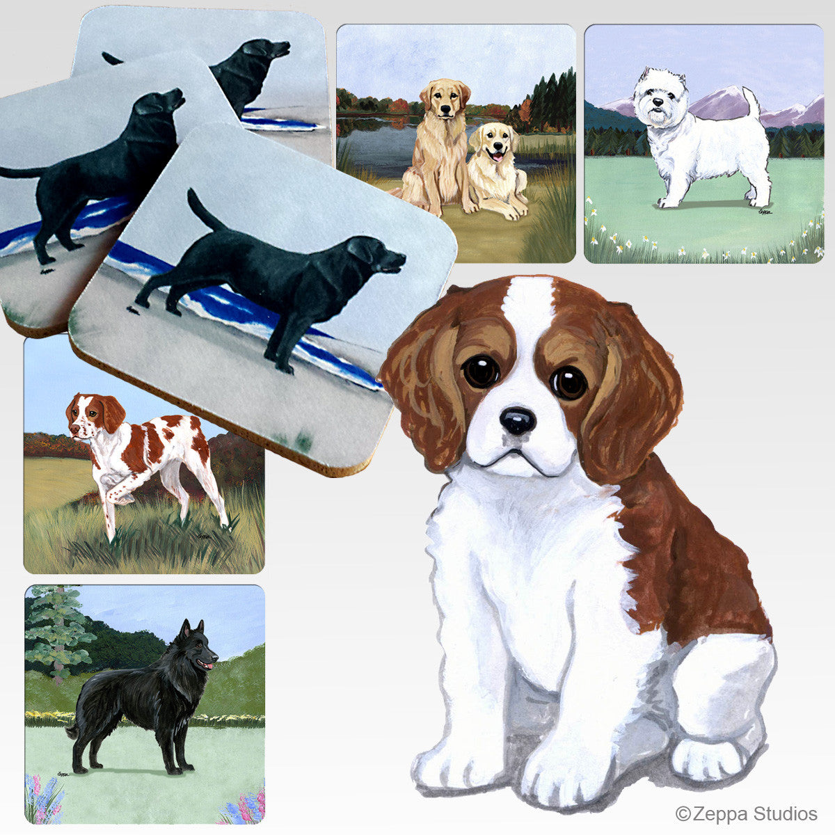 Cavalier King Charles Puppy Scenic Coasters