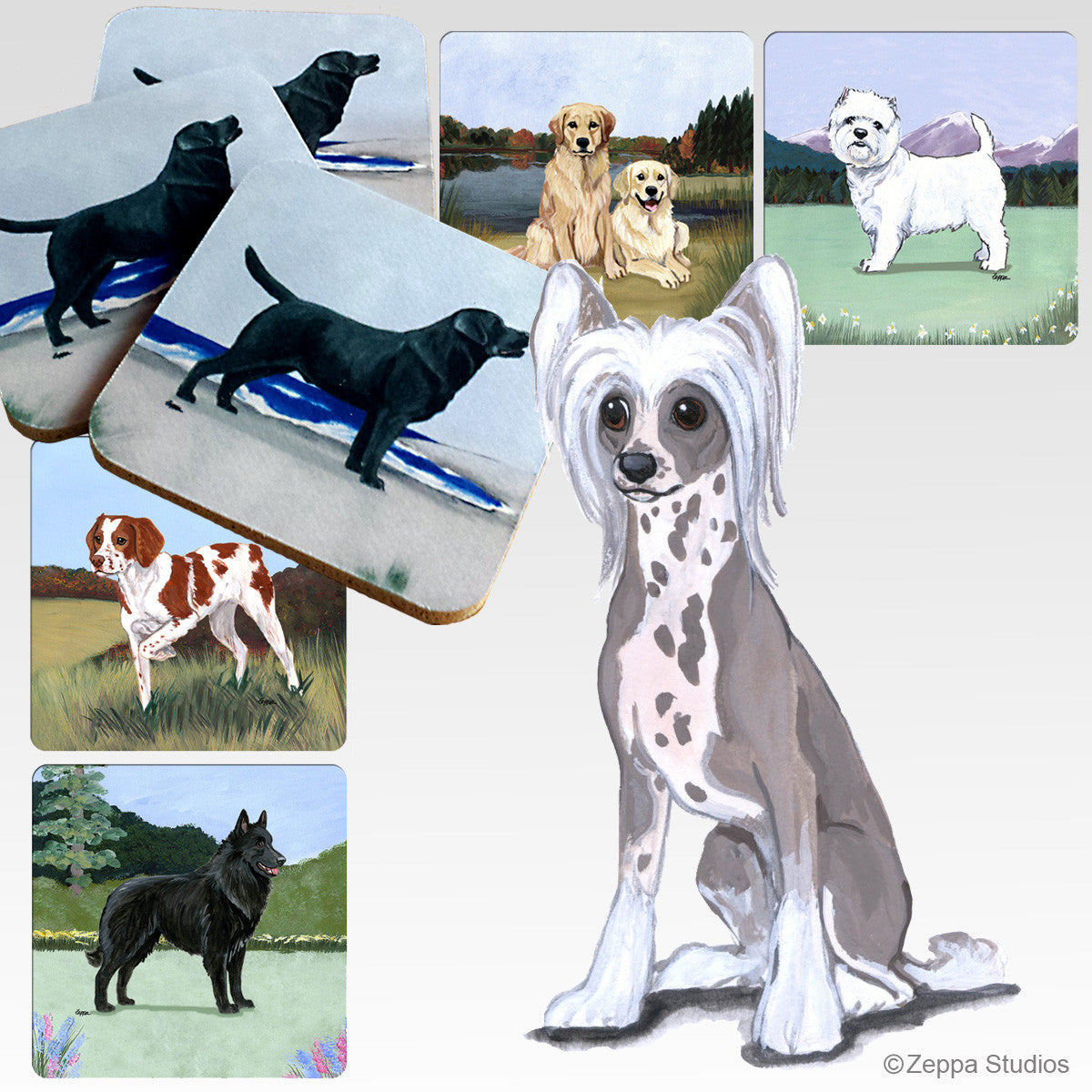 Chinese Crested  Scenic Coasters
