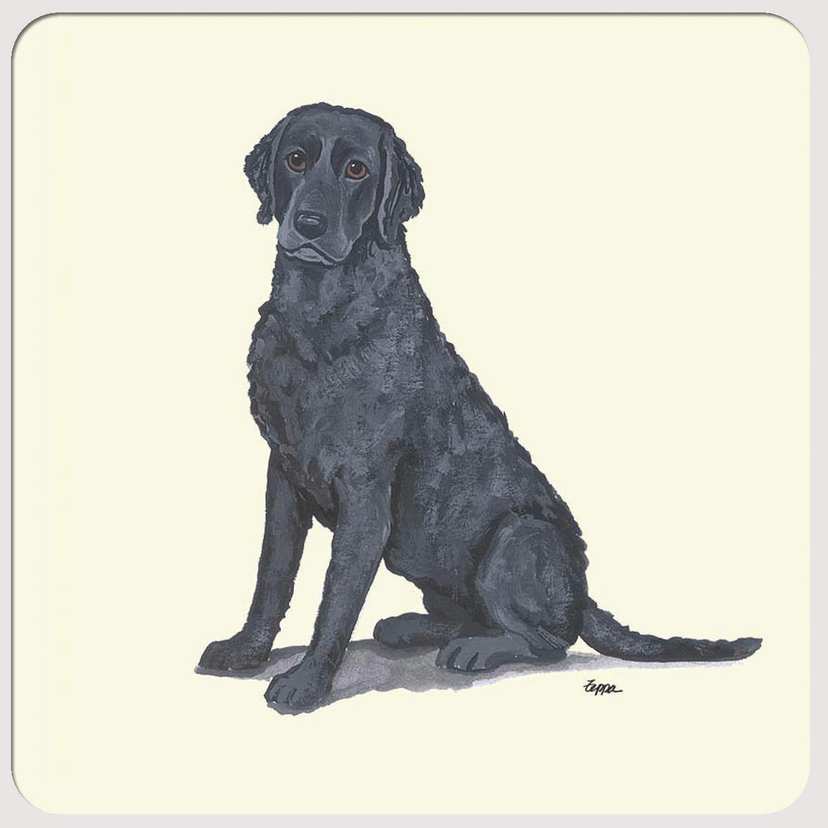 Curly Coated Retriever Beverage Coasters