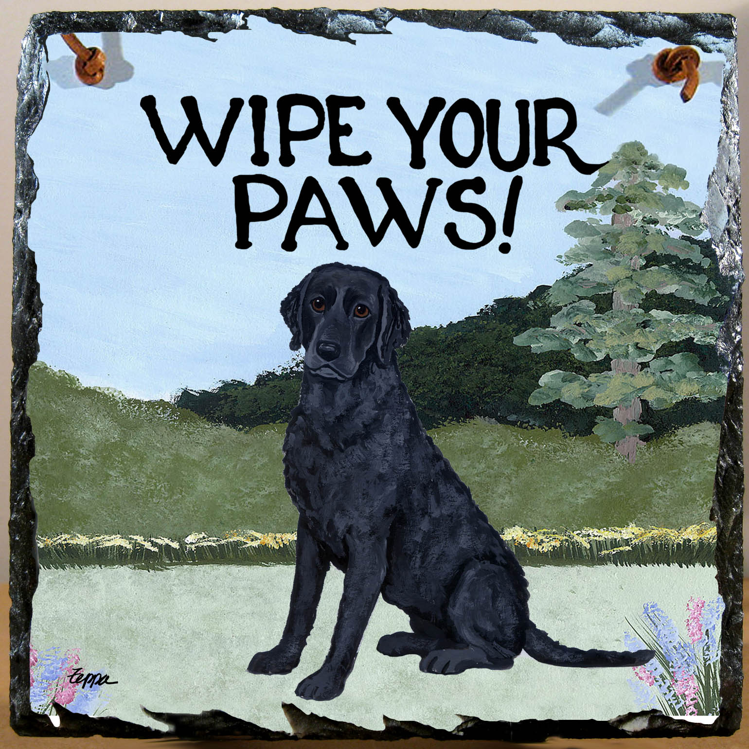 Curly Coated Retriever Slate Signs