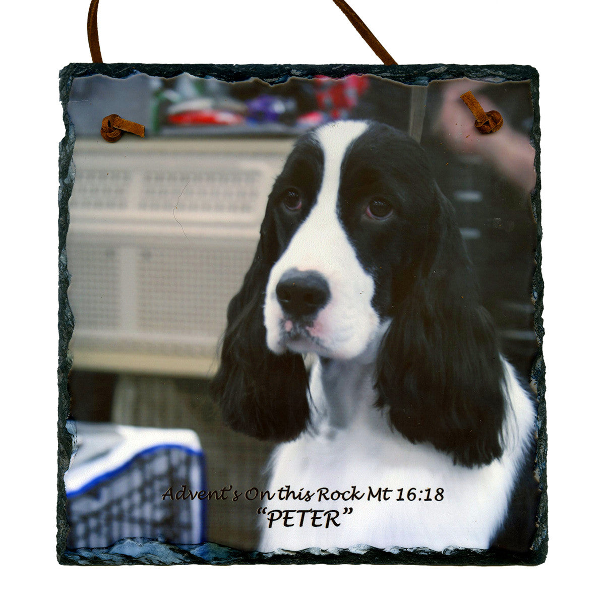 Custom Photo Slate Sign - English Springer "Peter"