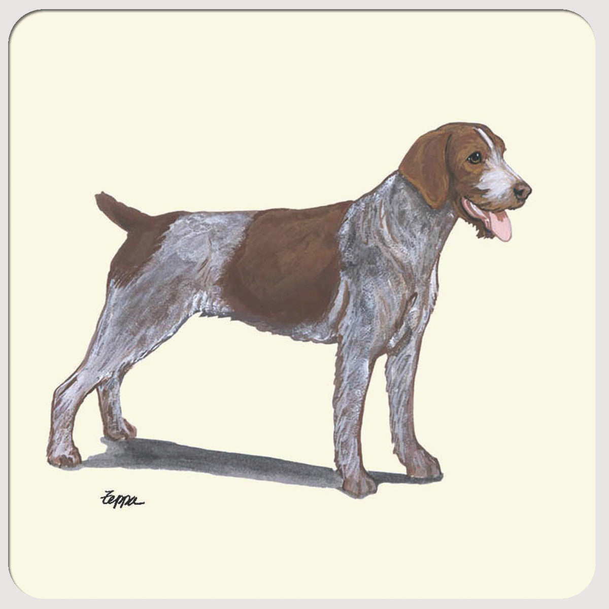 German Wirehaired Pointer Beverage Coasters