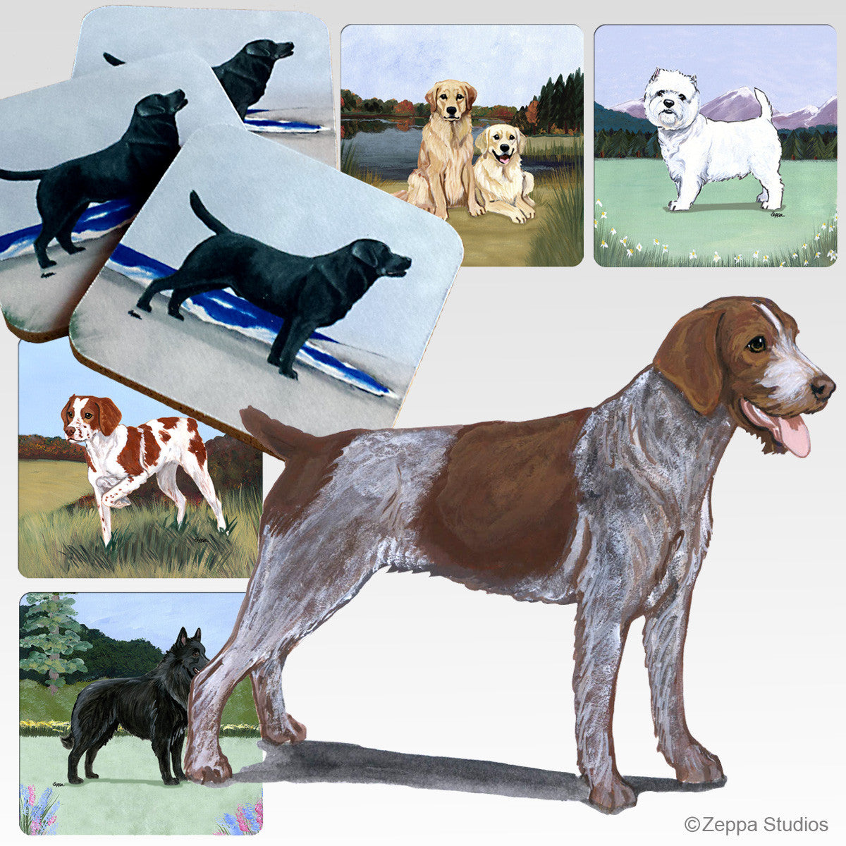 German Wirehaired Pointer Scenic Coasters