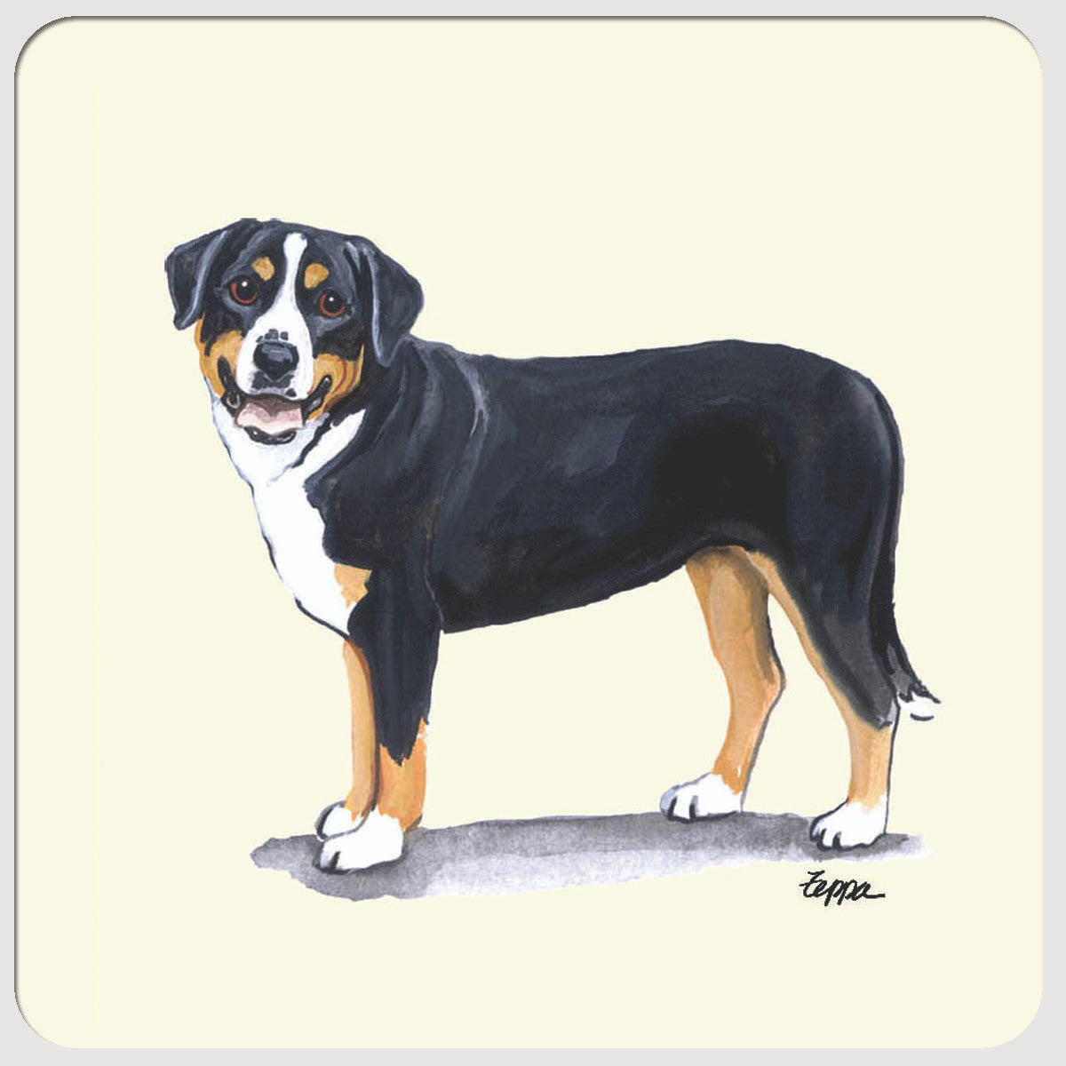 Greater Swiss Mountain Dog Beverage Coasters