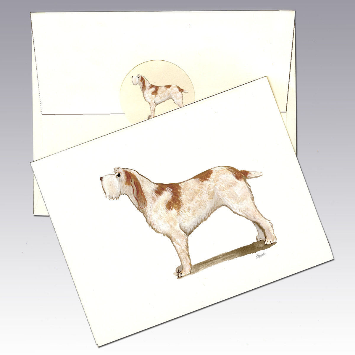 Italian Spinone Orange and White Note Cards