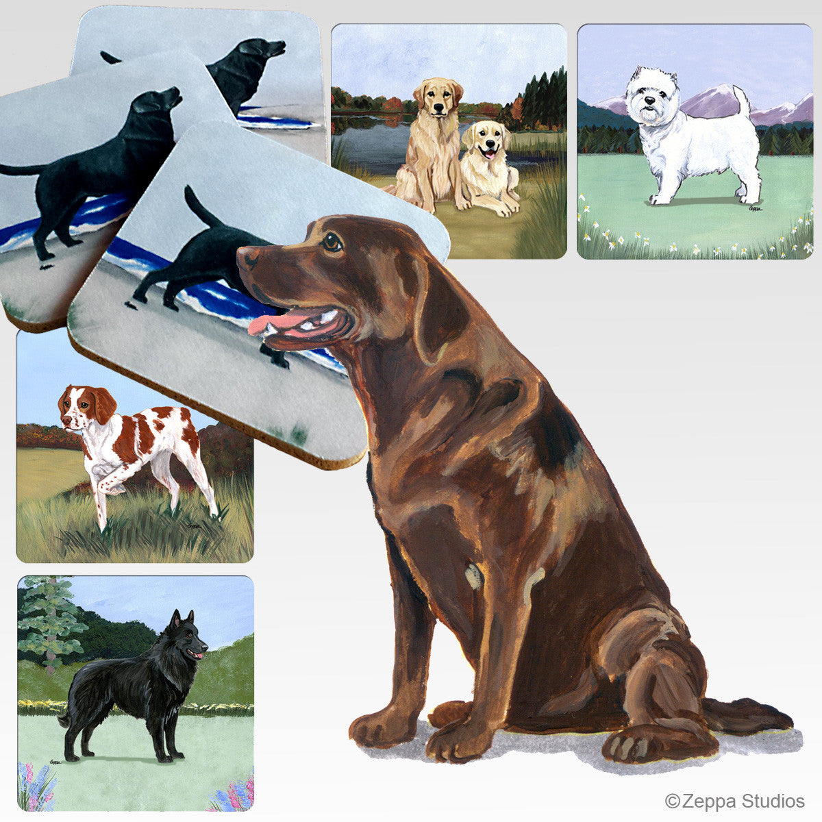 Chocolate Labrador Sitting Sideways Scenic Coasters