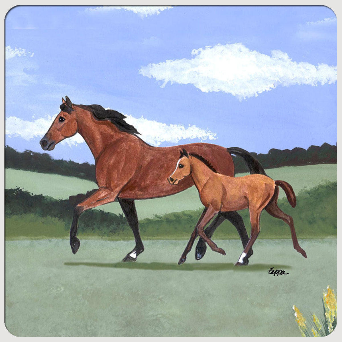 Mare and Foal Scenic Coasters