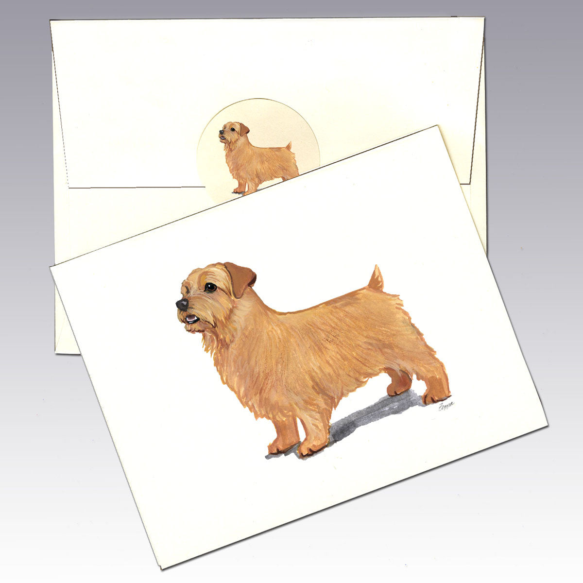 Norfolk Terrier Note Cards