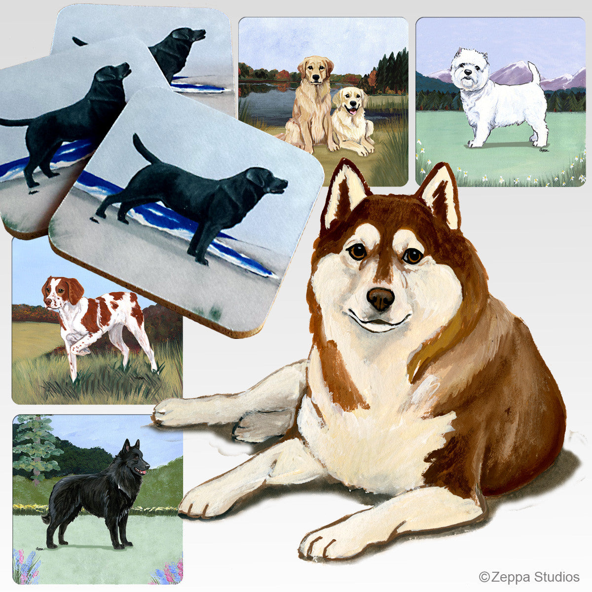 Brown and White Siberian Husky Scenic Coasters