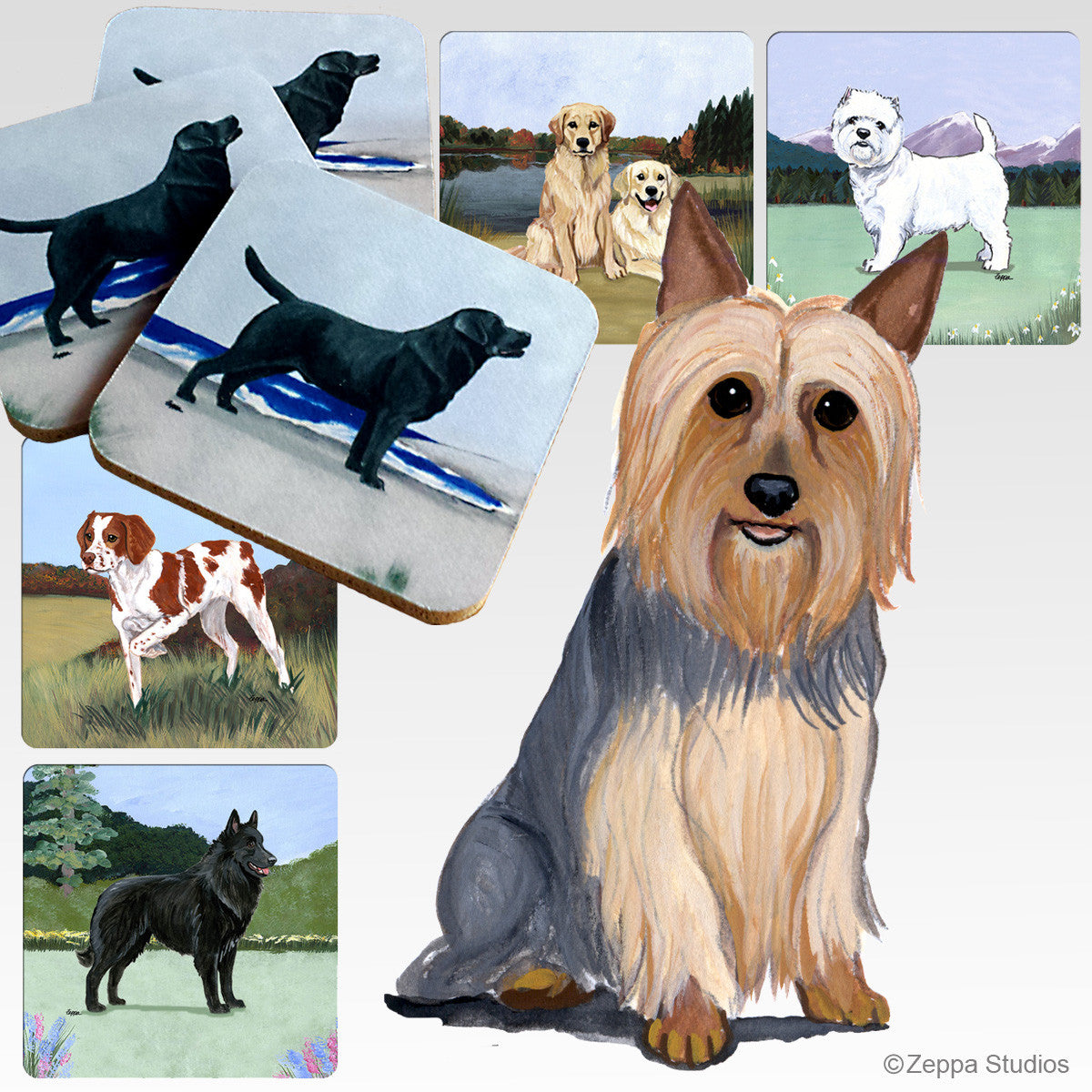 Silky Terrier Scenic Coasters