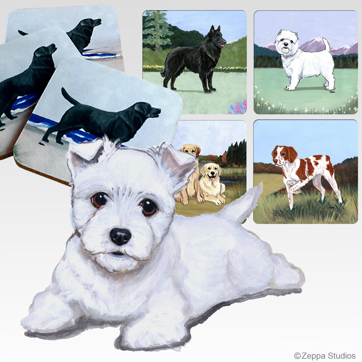 West Highland White Terrier Puppy Scenic Coasters