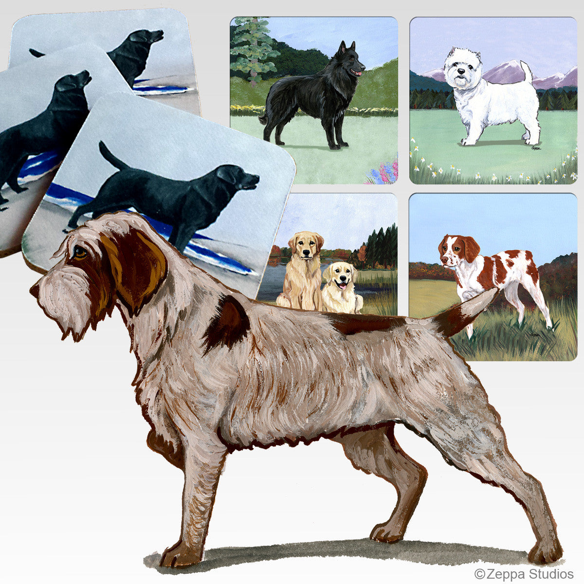 Wirehaired Pointing Griffon Scenic Coasters