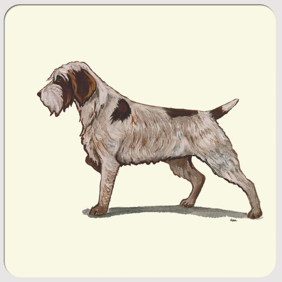 Wirehaired Pointing Griffon Beverage Coasters